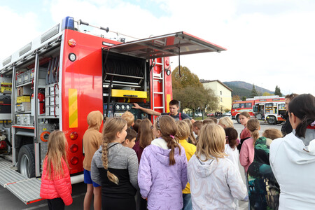 Slovenija oživlja 16 Foto Ljubo Vukelič